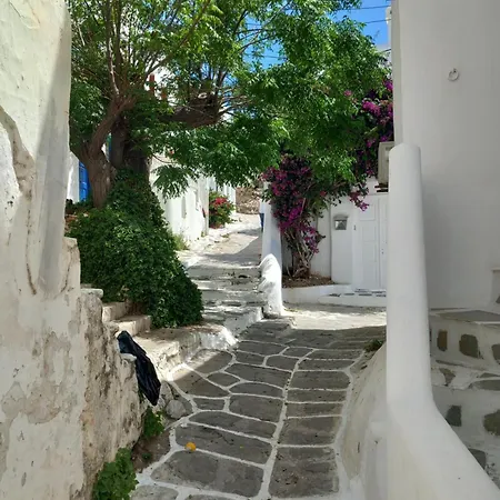 Alex Central * Mykonos Town